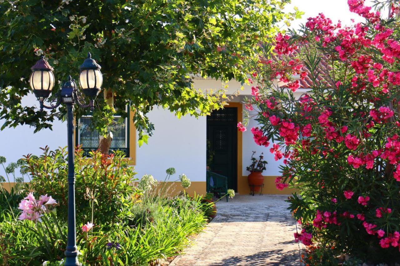 Casa Robusto Guest House Салватера де Магос Екстериор снимка